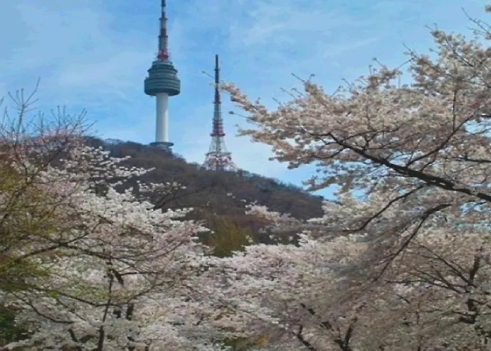 홍대의 빌라#홍대의 아파트먼트#방3개#침대4개#홍대입구숙소#망원시장#합정#짐보관#쇼핑거리#관광명소#단독사용#홍대디자인숙소